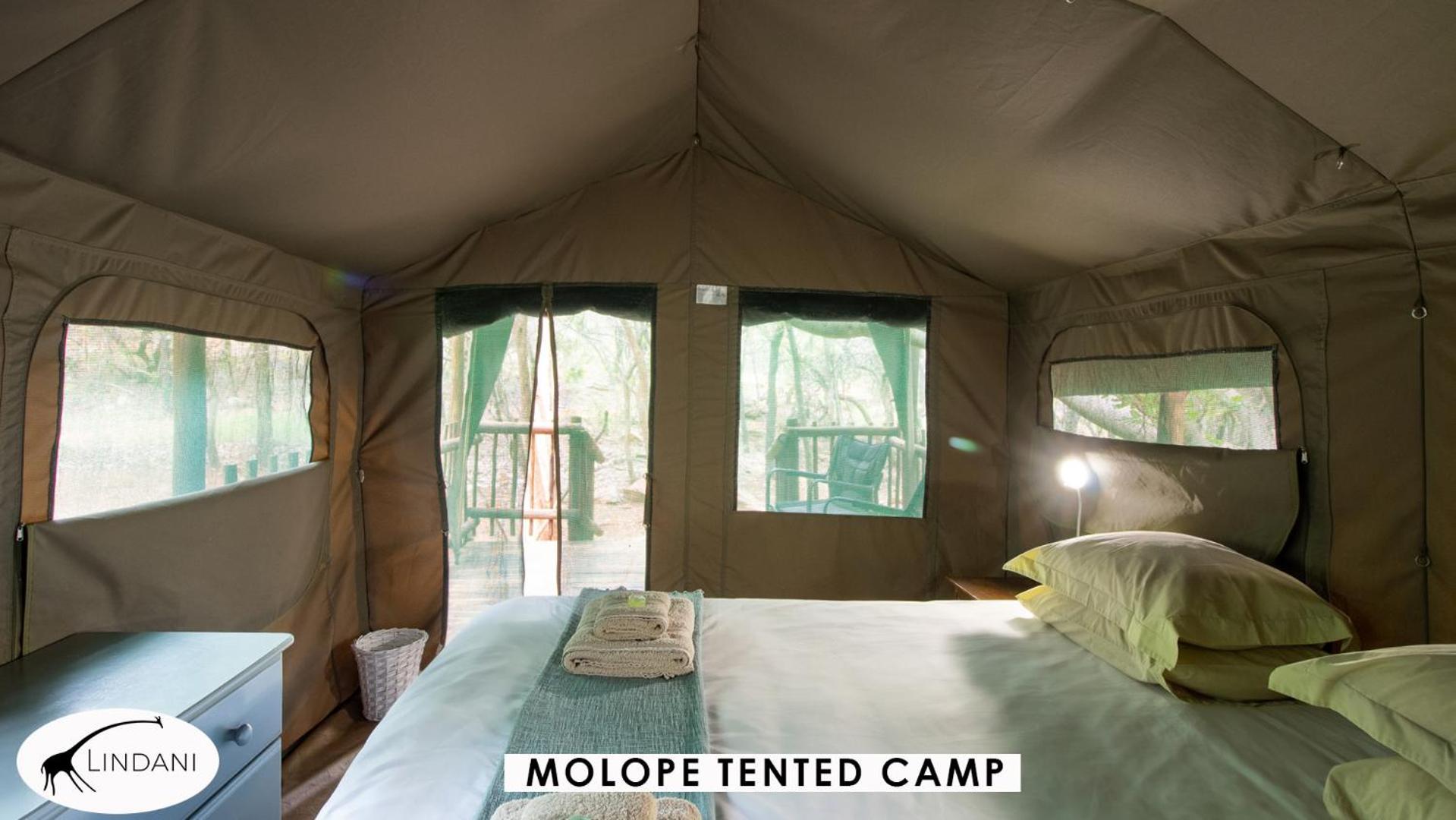 Lindani Game And Lodges Vaalwater Exterior photo