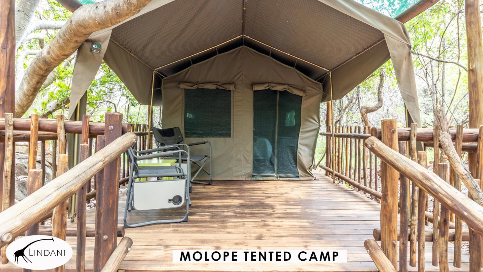 Lindani Game And Lodges Vaalwater Exterior photo